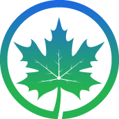 Sewer Line Root Removal Pros