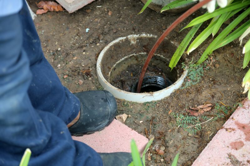 Sewer Line Root Removal