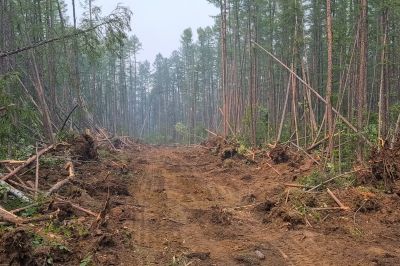 Commercial Site Clearing in Cumming, GA