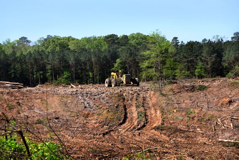 Construction Site Land Clearing in Marietta, GA