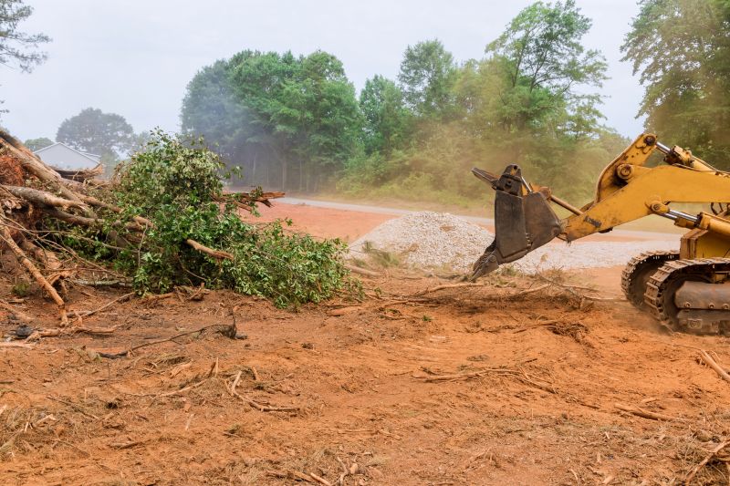 Easement Land Clearing in Cumming, GA