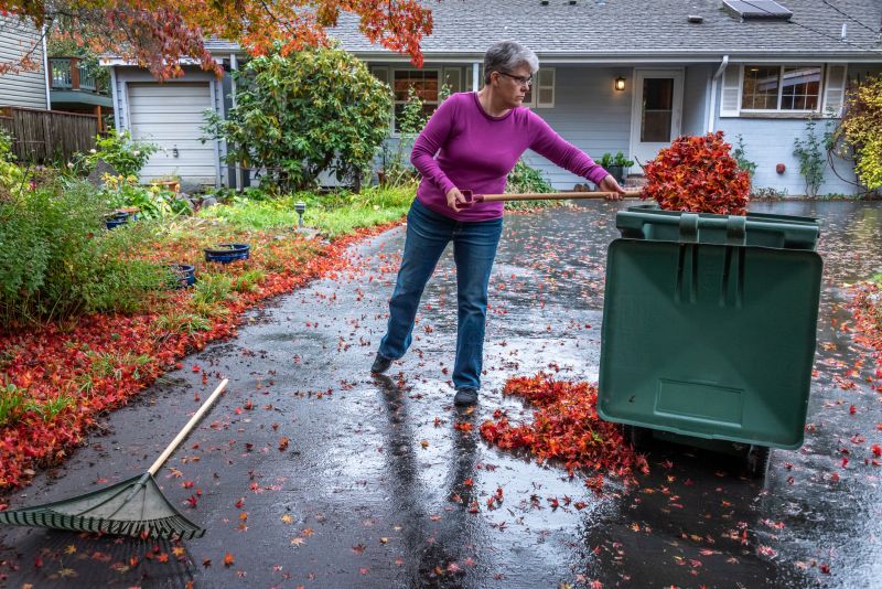 Yard with Fallen Leaves