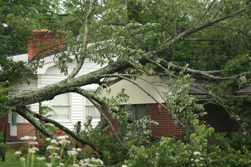 Fallen Tree Removal in Montgomery County, PA
