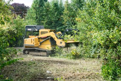 Lake Lot Clearing in Houston, TX