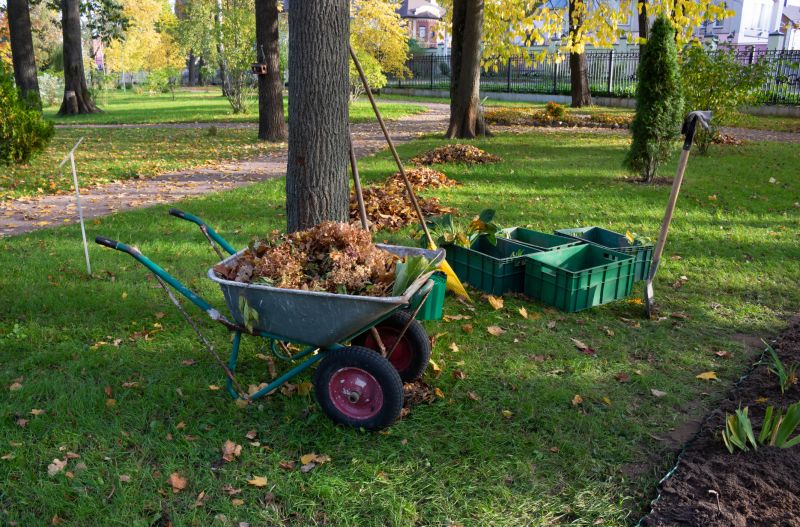 Pool Land Clearing in Gwinnett County, GA