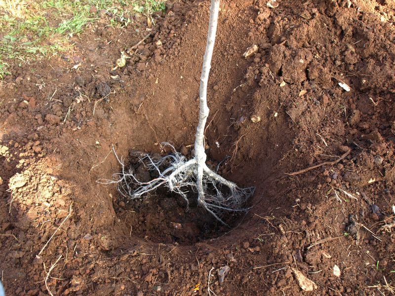Products For Sewer Line Root Removals in use
