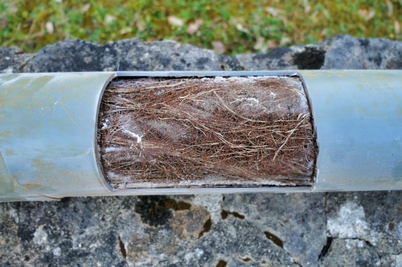 Sewer Line Root Removal