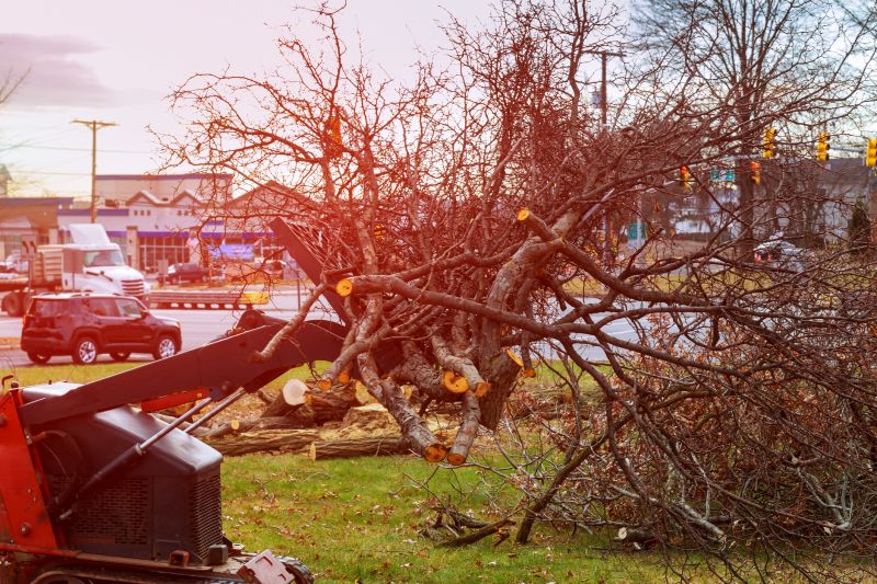 Site Clearing Service in Cumming, GA